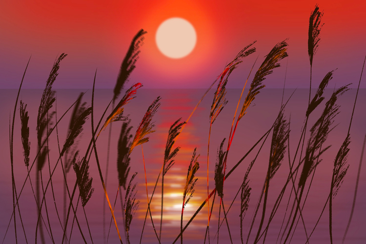 reeds in sunset via tutorial