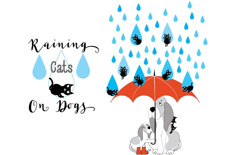 Cats raining on dogs