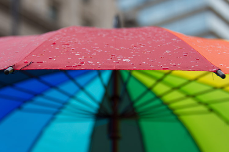 Rain on a Pride Umbrella
