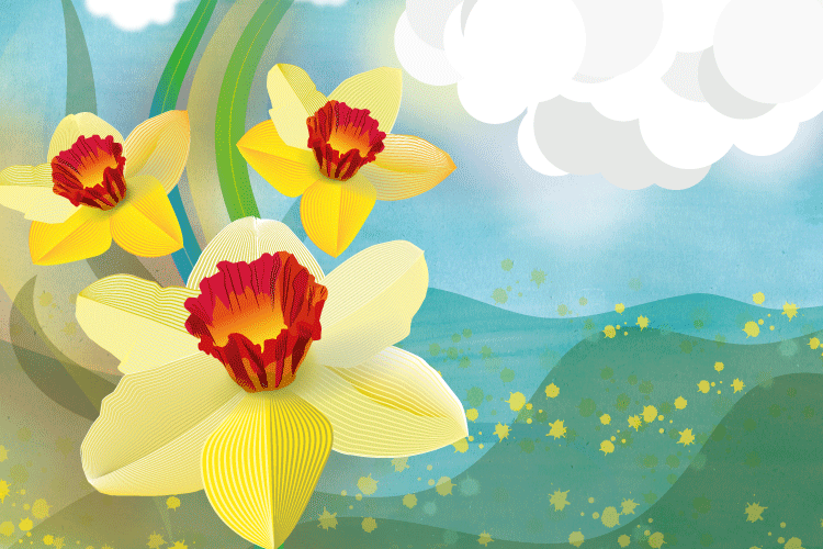 Daffodils mixed media